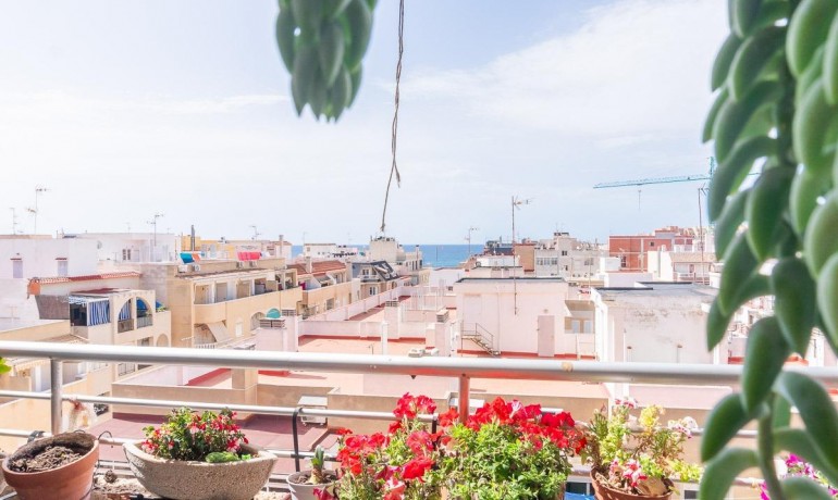 Sale - Apartment / Flat -
Torrevieja* - Curva del Palangre