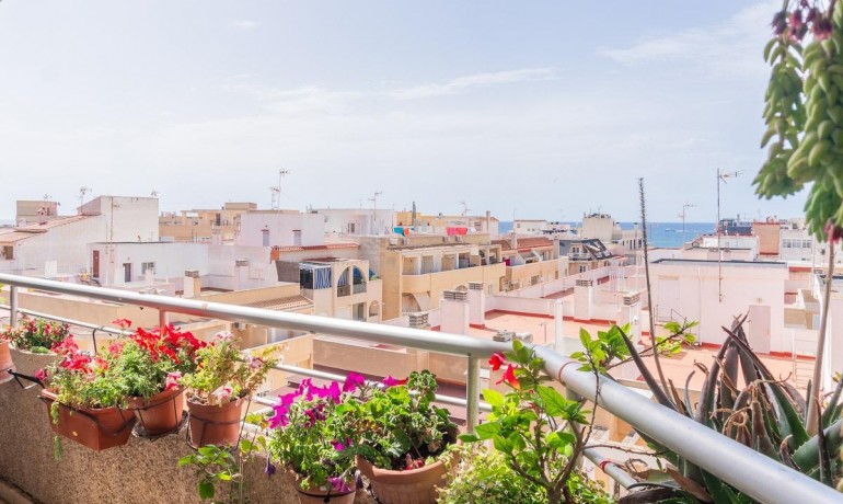 Sale - Apartment / Flat -
Torrevieja* - Curva del Palangre