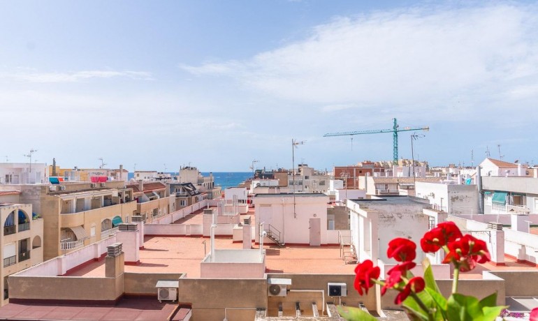 Sale - Apartment / Flat -
Torrevieja* - Curva del Palangre
