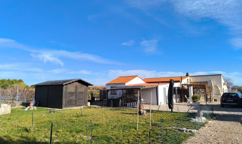 Sale - Villa -
Villena - Rural location