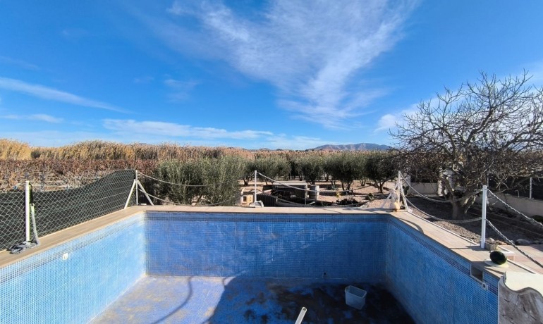 Sale - Villa -
Villena - Rural location