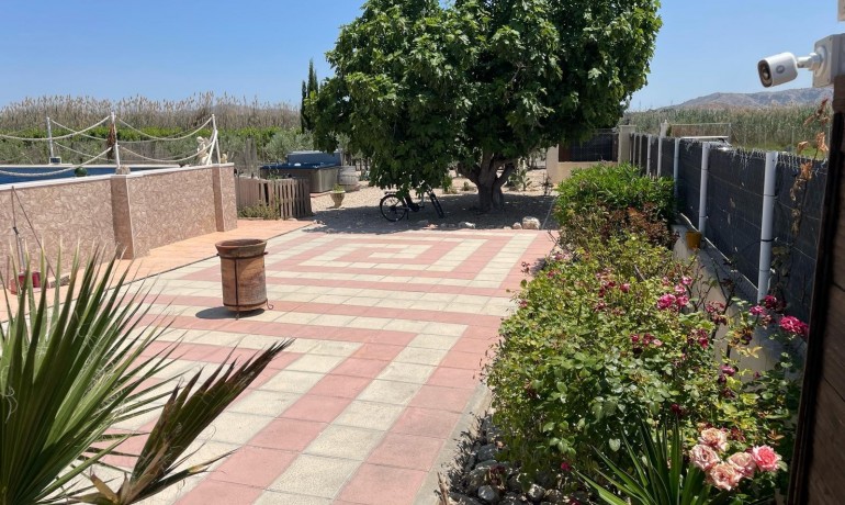 Sale - Villa -
Villena - Rural location