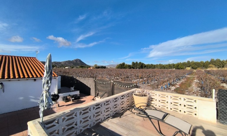 Sale - Villa -
Villena - Rural location