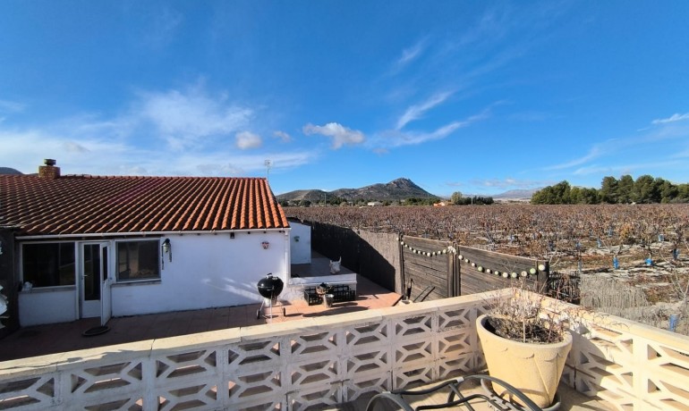 Sale - Villa -
Villena - Rural location
