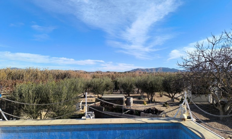Sale - Villa -
Villena - Rural location