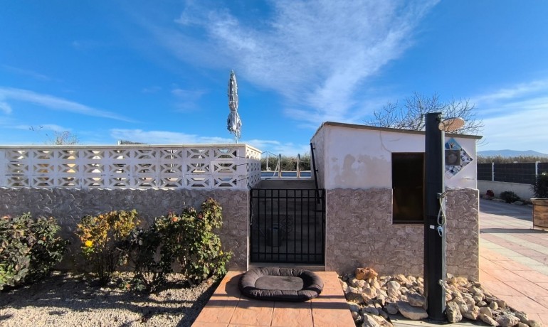 Sale - Villa -
Villena - Rural location