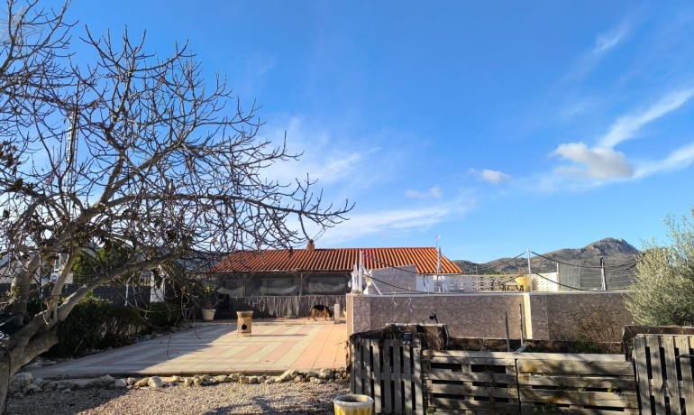 Sale - Villa -
Villena - Rural location