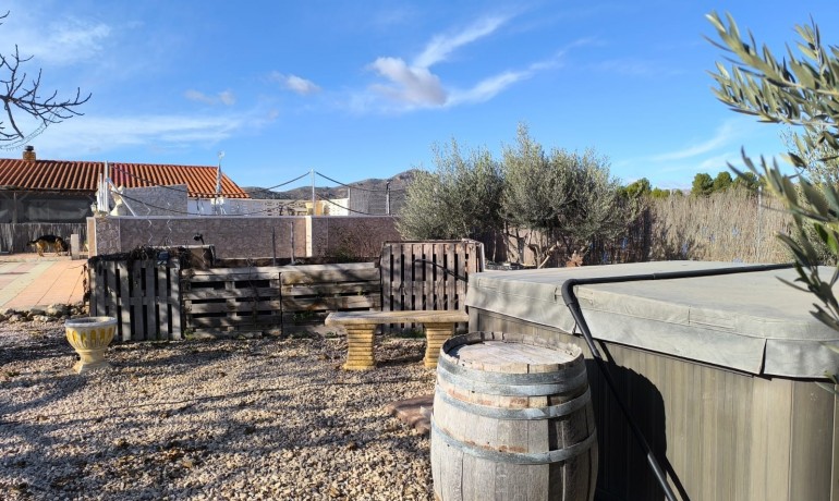 Sale - Villa -
Villena - Rural location