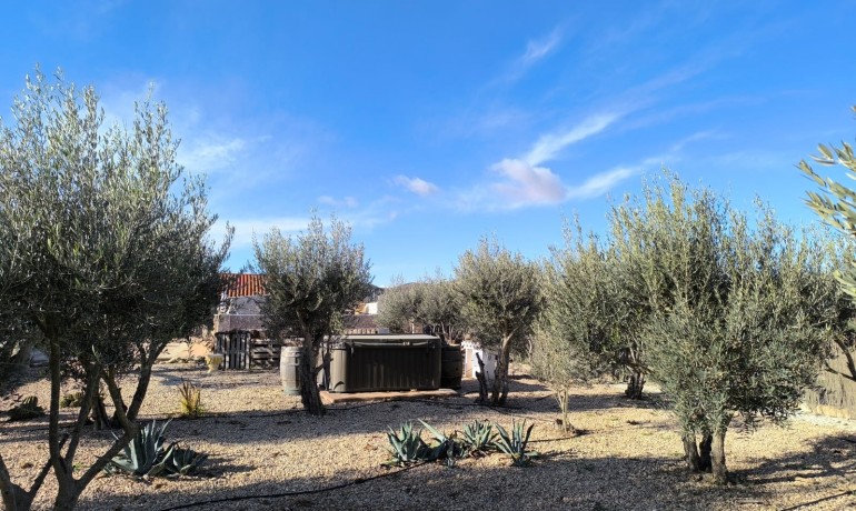 Sale - Villa -
Villena - Rural location