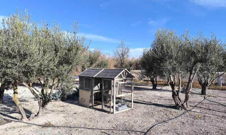 Sale - Villa -
Villena - Rural location