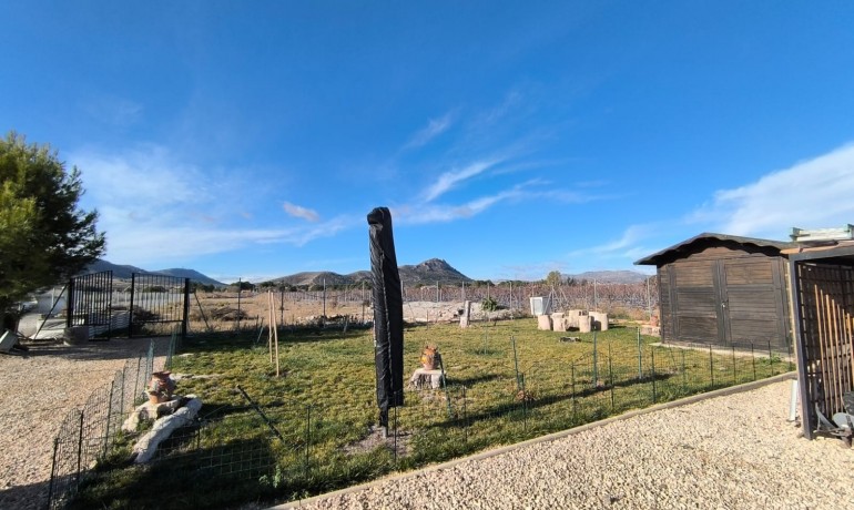 Sale - Villa -
Villena - Rural location