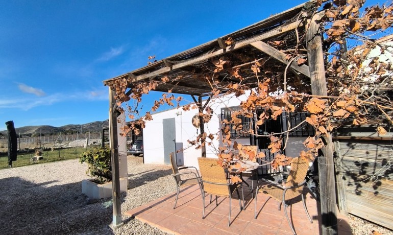 Sale - Villa -
Villena - Rural location