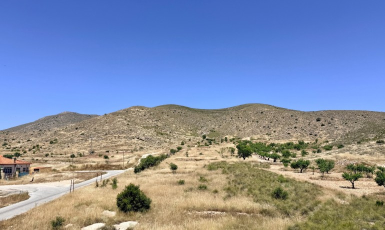 Herverkoop - Appartement / Flat -
Hondon de los frailes - Hondon de los Frailes*
