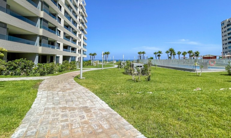 Revente - Appartement / Flat -
Orihuela Costa* - Punta Prima*