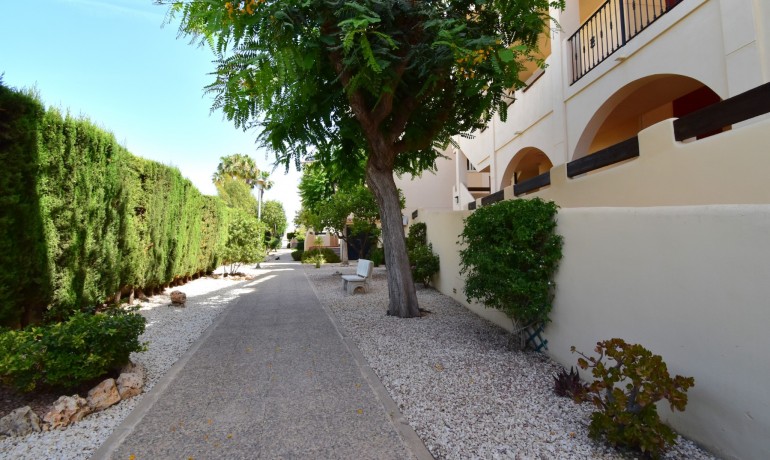 Revente - Appartement / Flat -
Orihuela Costa - Playa Flamenca