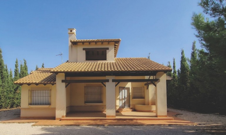 Nouvelle construction - Villa -
Fuente alamo de Murcia - LAS PALAS