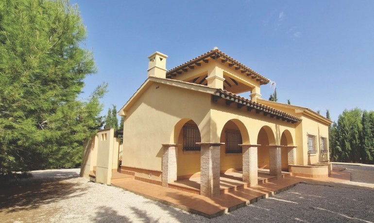 Nieuwbouw - Villa -
Fuente alamo de Murcia - LAS PALAS