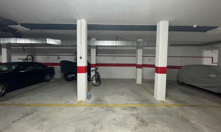 Venta - Apartamento / piso -
