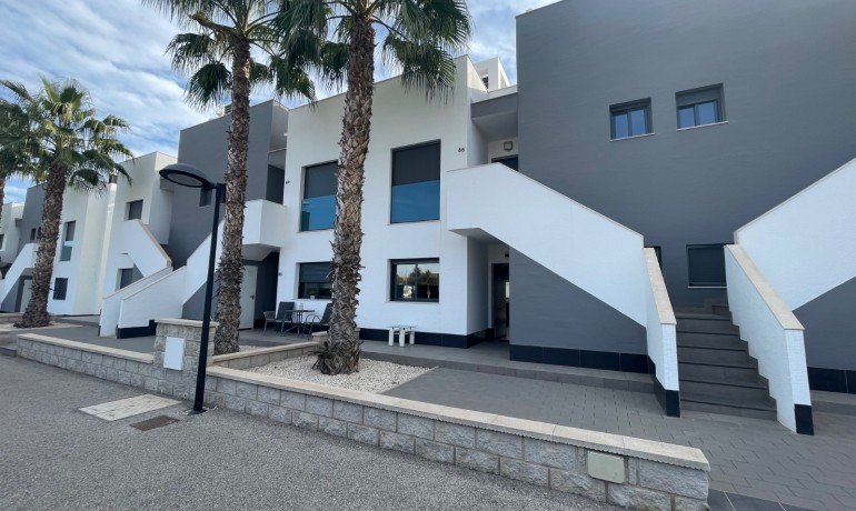 Venta - Apartamento / piso -
