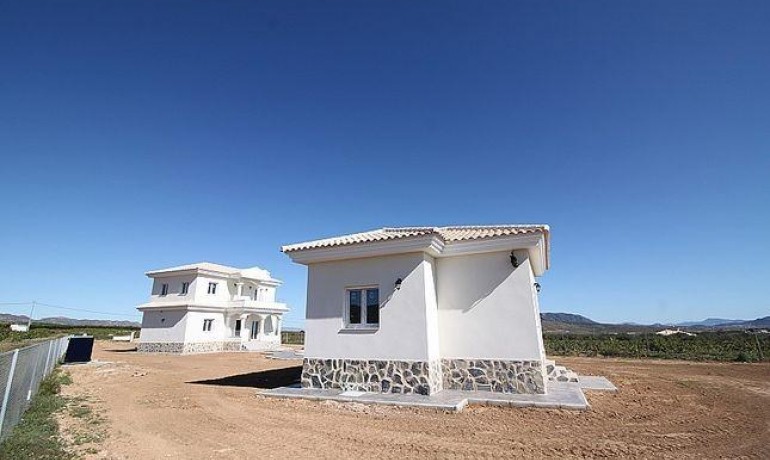 Nouvelle construction - Villa -
Pinoso - Camino Del Prado