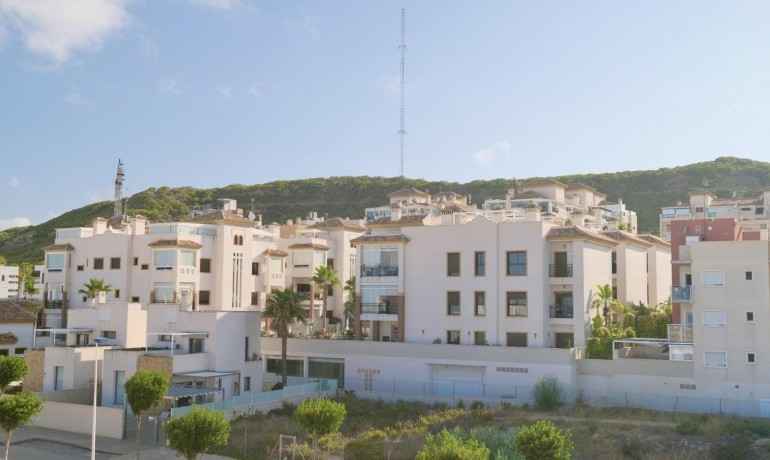 Nieuwbouw - Villa -
Guardamar del Segura - Els secans