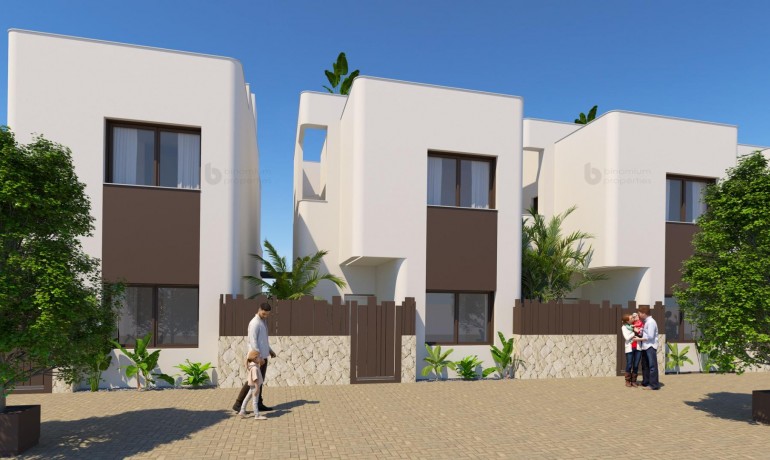 New Build - Villa -
Pilar de la Horadada - Riomar