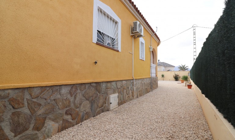 Sale - Country land -
Catral
