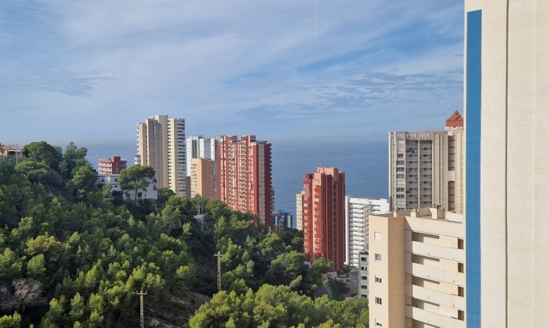 Sale - Apartment / flat -
Alicante - Alicante (Costa Blanca)