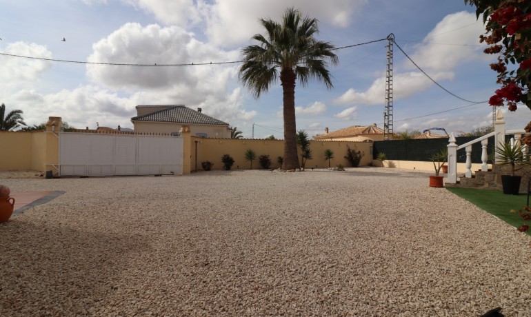Sale - Country land -
Catral