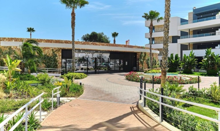 Sale - Property -
Playa Flamenca - Costa Blanca