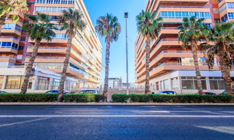 Herverkoop - Appartement / flat -
Torrevieja - El Acequión - Los Náufragos