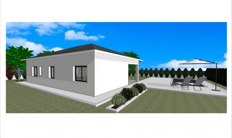 New Build - Villa -
Pinoso - Lel