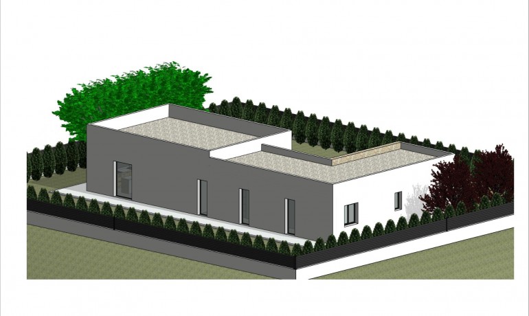 New Build - Villa -
Pinoso - Lel