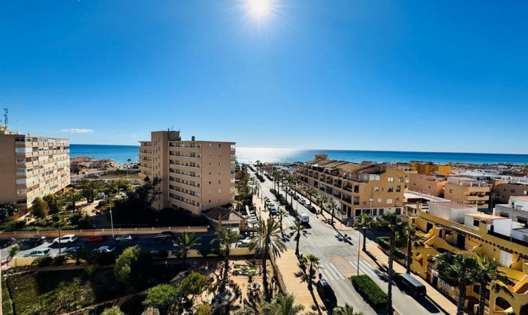 Sale - Apartment / flat -
La Mata