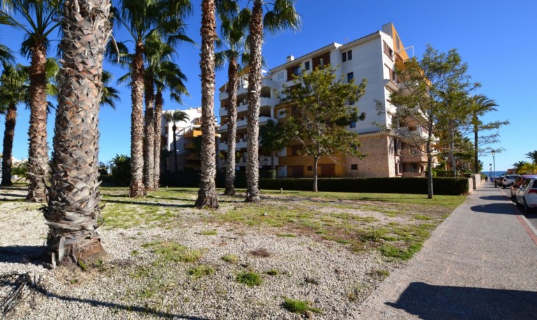 Sale - Apartment / Flat -
Torrevieja* - Punta Prima*