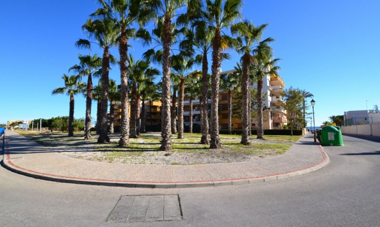 Herverkoop - Appartement / Flat -
Orihuela Costa - Punta Prima