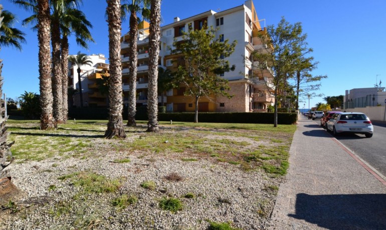 Revente - Appartement -
Orihuela Costa - Punta Prima