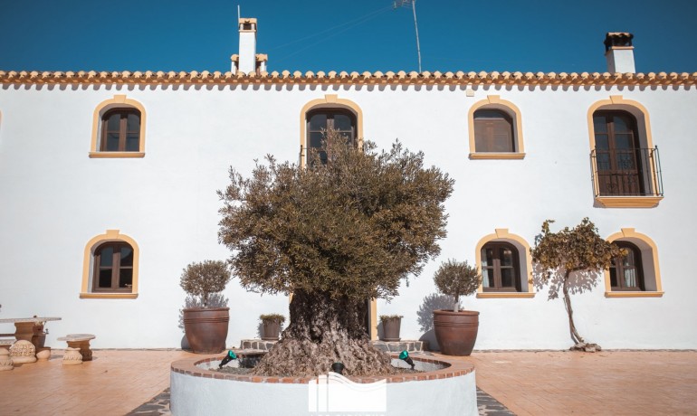 Herverkoop - Finca / Landgoed -
Alicante* - Lorcha*