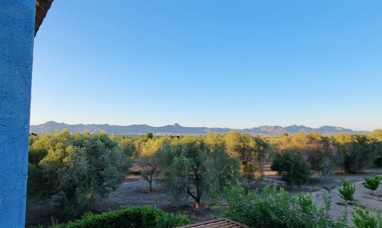 Revente - Country Property -
Orihuela - Benferri