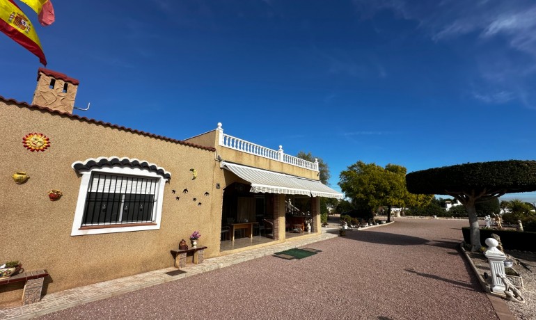 Sale - Villa -
Albatera