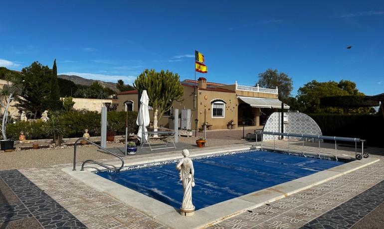 Sale - Villa -
Albatera