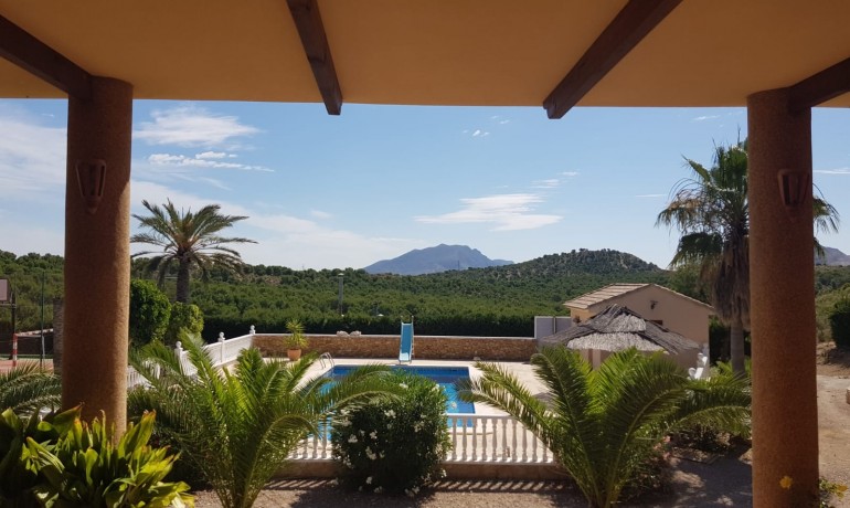 Venta - Country Property/Finca -
