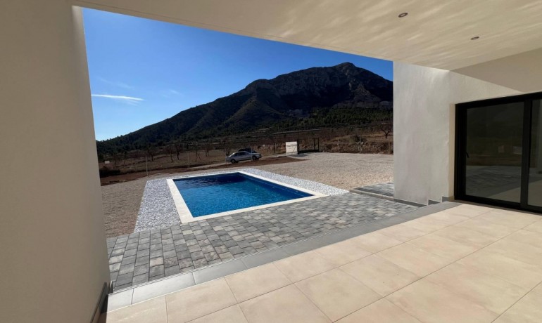 Nouvelle construction - Villa -
Jumilla - Torre del Rico