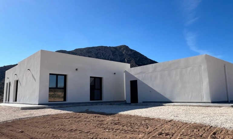 Nouvelle construction - Villa -
Jumilla - Torre del Rico