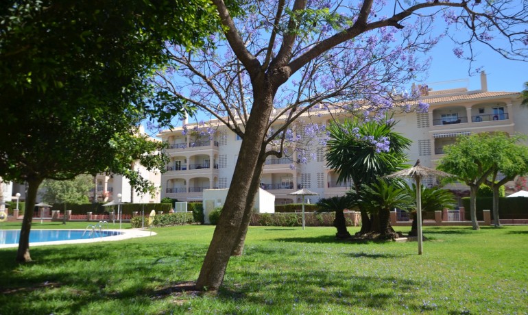 Herverkoop - Appartement / flat -
Orihuela Costa - Playa Flamenca