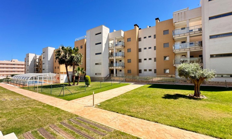 Herverkoop - Appartement / flat -
Orihuela Costa - Villa Martin