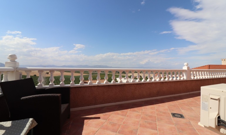 Sale - Villa -
Algorfa - Lomas de La Juliana