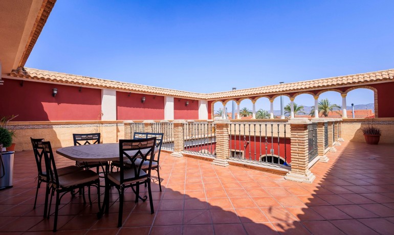 Sale - Villa -
Alicante* - San Isidro*