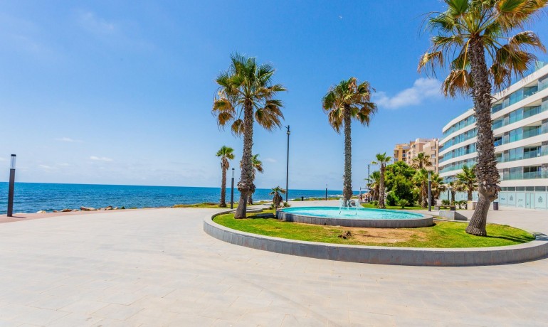 Revente - Appartement -
Torrevieja - Paseo maritimo