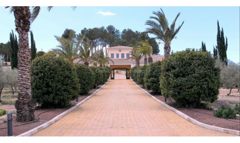 Sale - Villa -
Alicante* - Penàguila*